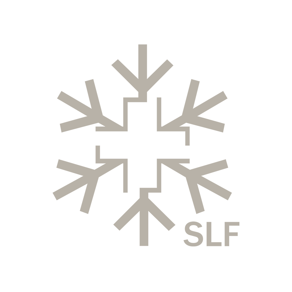 Logo Schnee- und Lawinenforschung